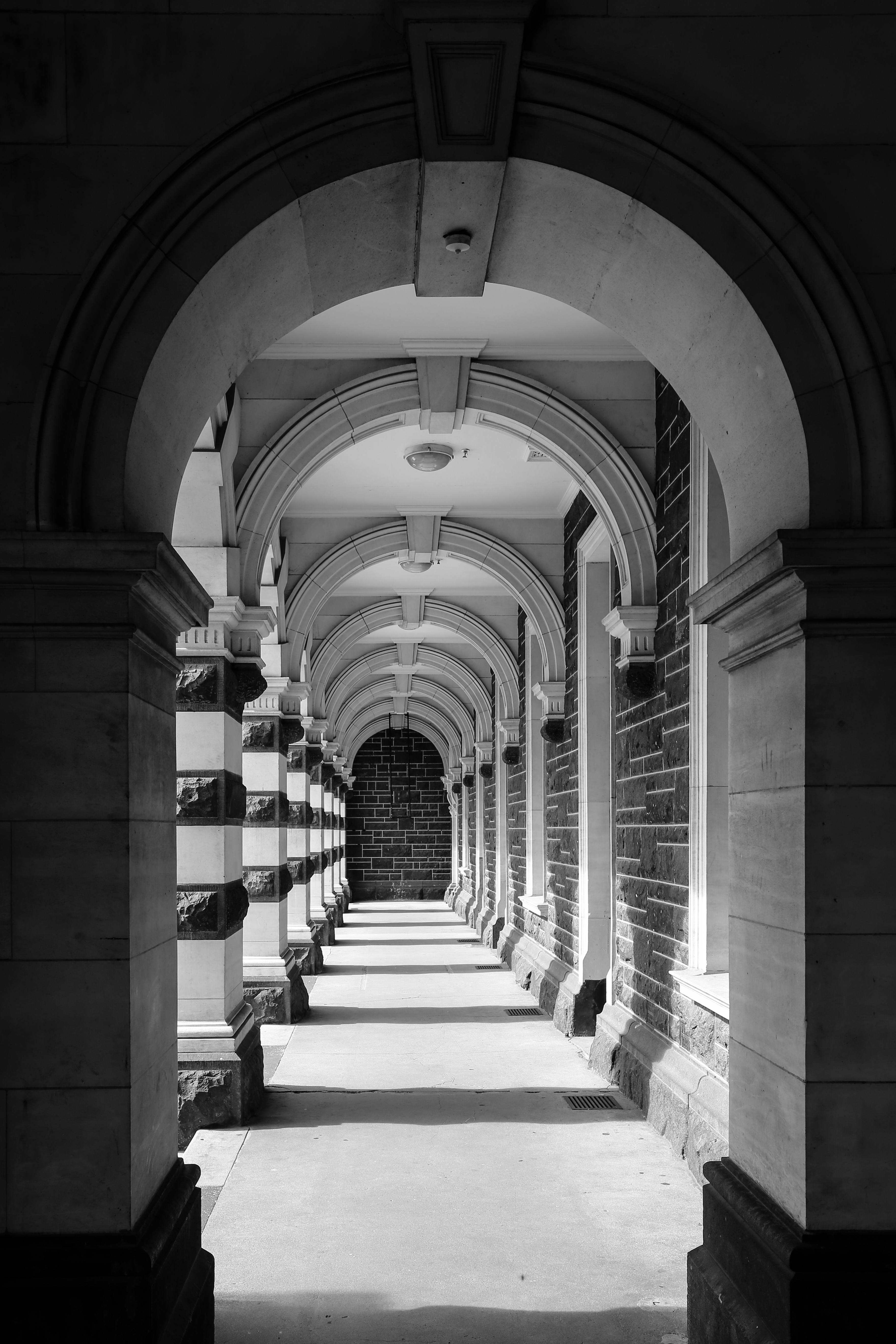 IMG_6523