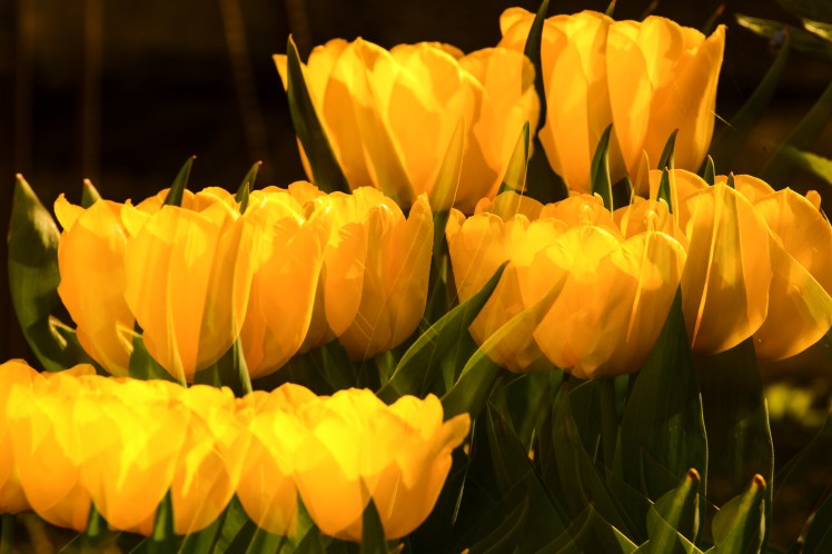 IMG_4939-Bearbeitet-Bearbeitet