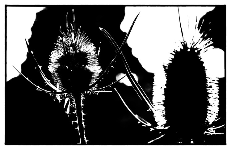 IMG_6073-Bearbeitet-Bearbeitet