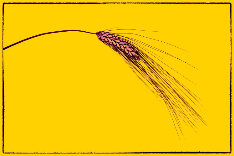 IMG_6163-Bearbeitet-Bearbeitet-2-Bearbeitet-3-2