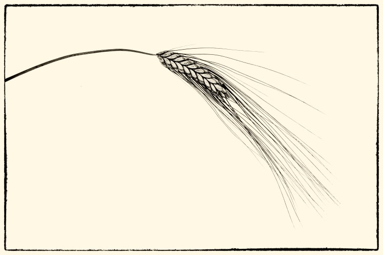 IMG_6163-Bearbeitet-Bearbeitet-2-Bearbeitet-3