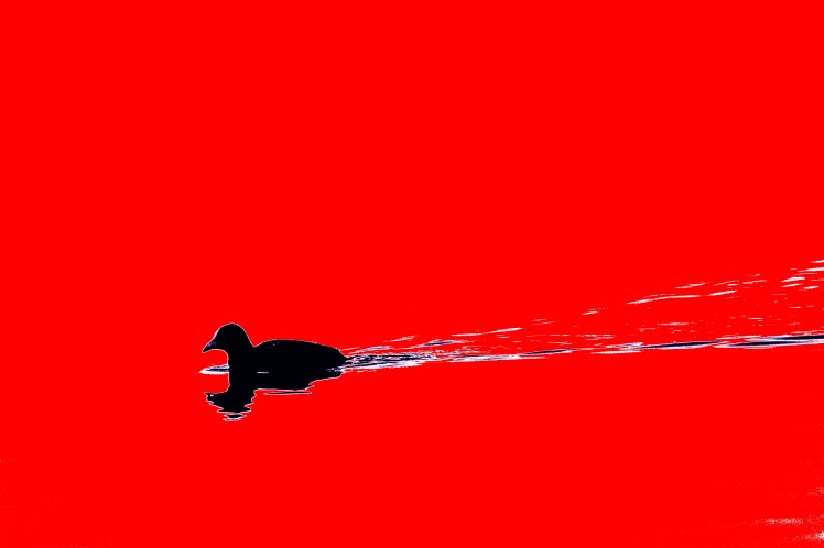 IMG_8812-Bearbeitet-2-Bearbeitet-3