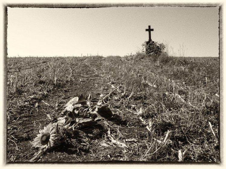 P1090566-Bearbeitet-2