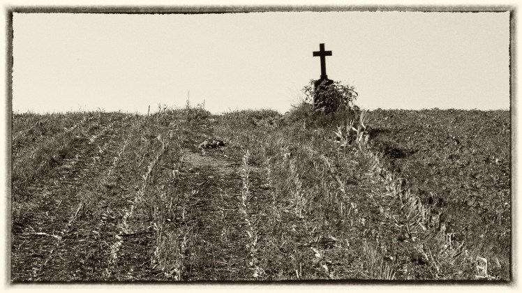 P1090573-Bearbeitet-2