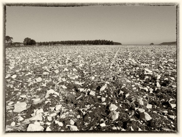 P1090575-Bearbeitet-2