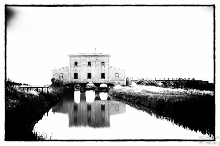 IMG_0204-Bearbeitet-4