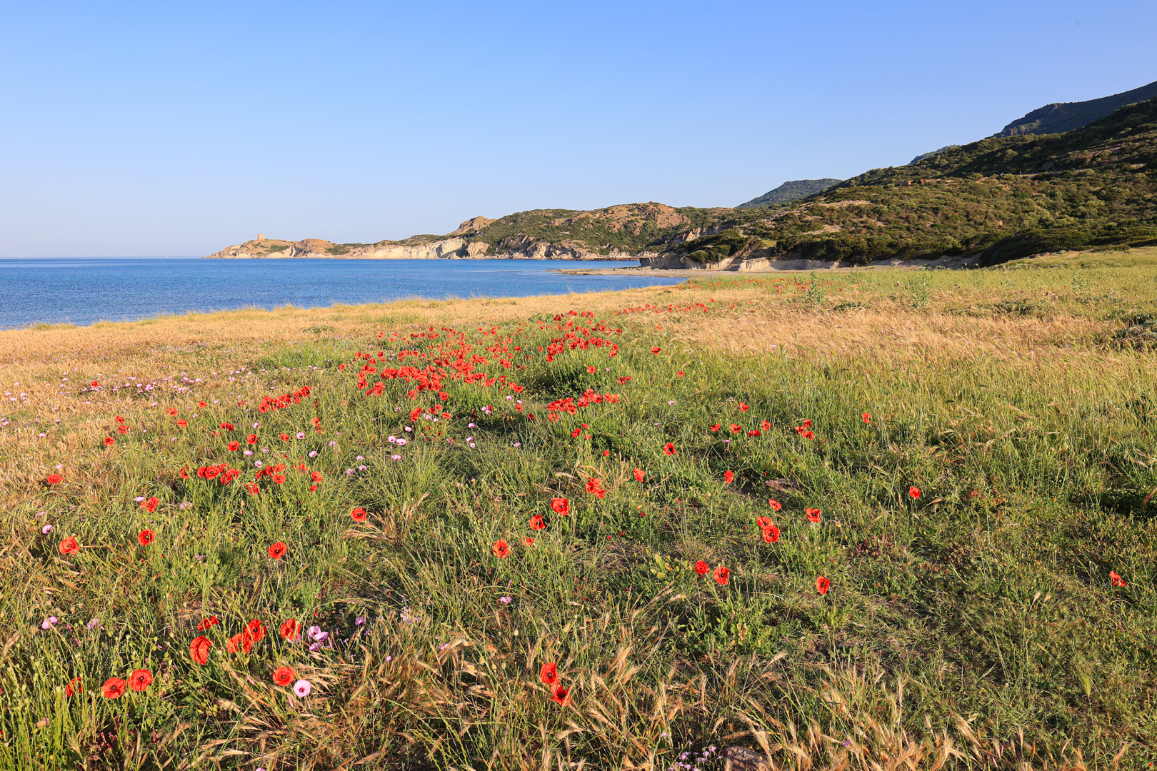 s´Abba Druche bei Bosa, Sardinien