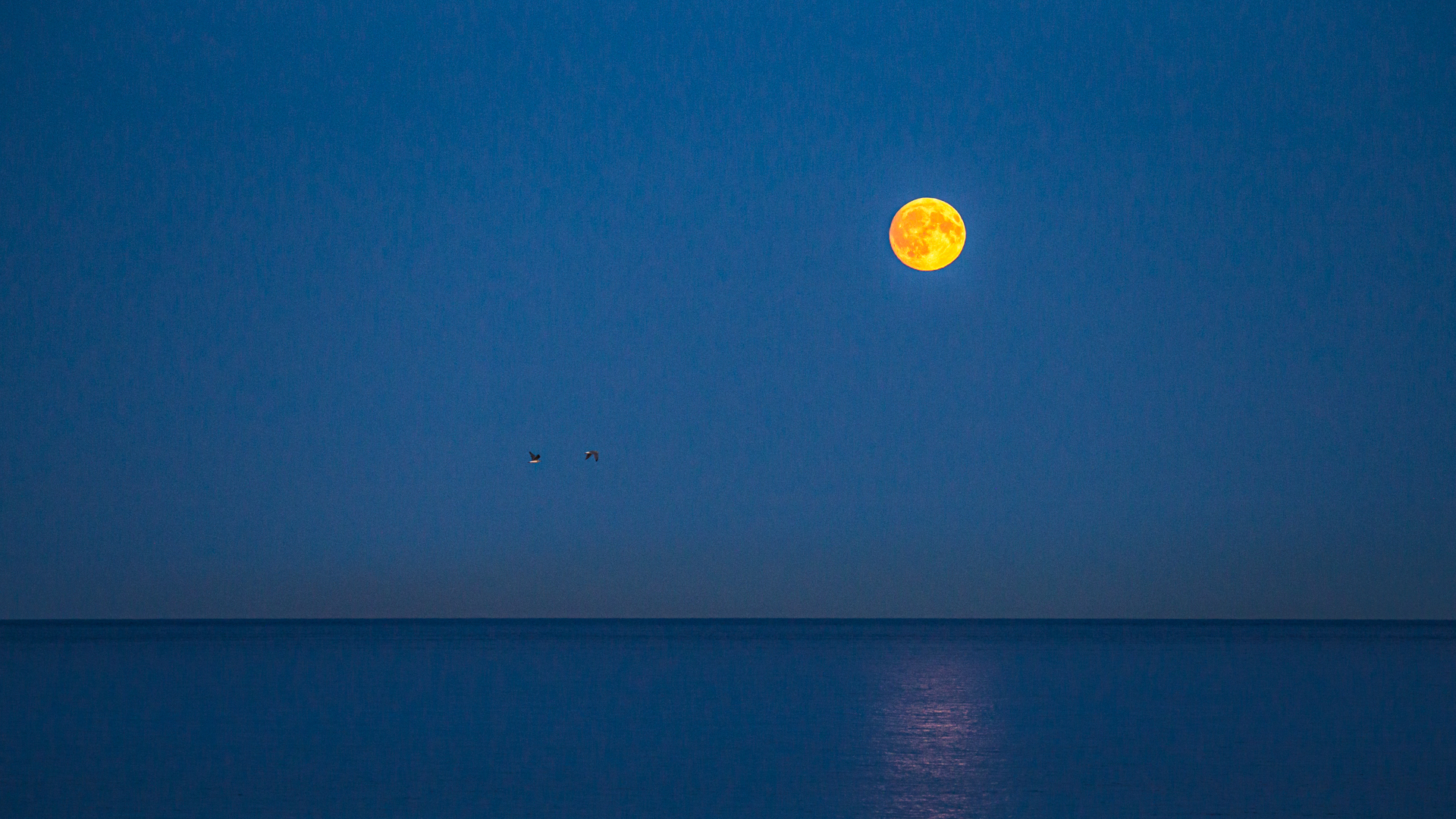 Vollmond in Dänemark